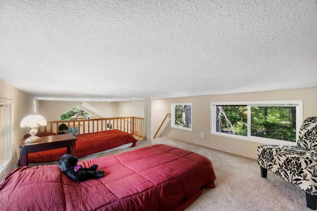 New Tiny Home Steps Away From Mt. Rainier Ashford Exterior foto