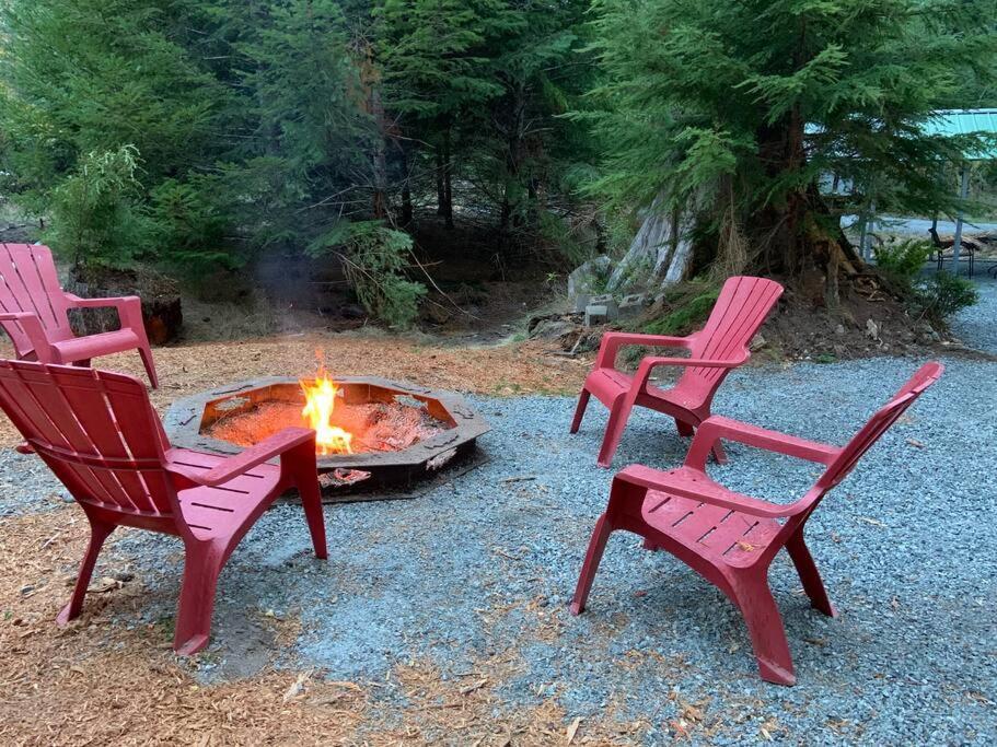 New Tiny Home Steps Away From Mt. Rainier Ashford Exterior foto
